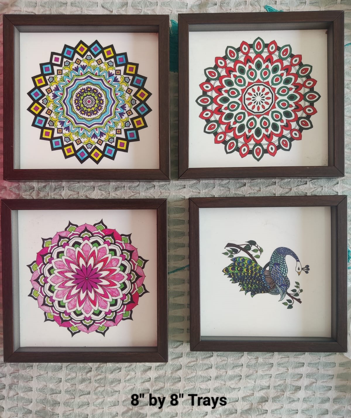 8X8 Trays